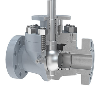ball valve trunnion